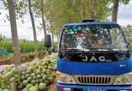 惠农网电商牛人王岩：热心助农的“及时雨”(图2)