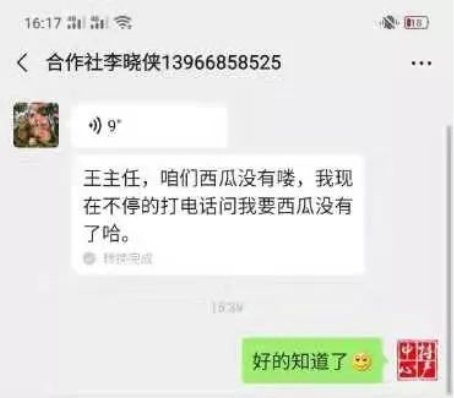 惠农网电商牛人王岩：热心助农的“及时雨”(图5)