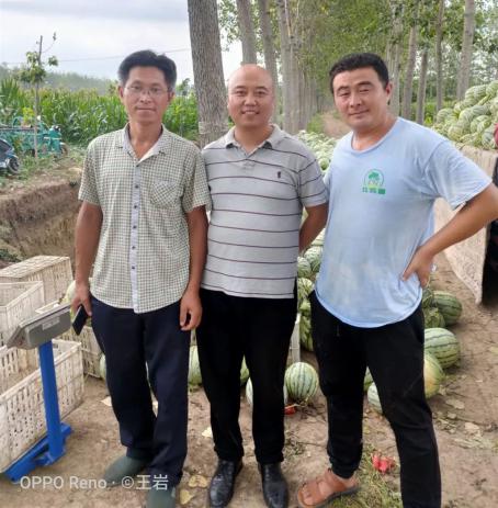 惠农网电商牛人王岩：热心助农的“及时雨”(图4)